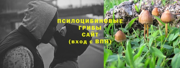 прущие крисы Беломорск