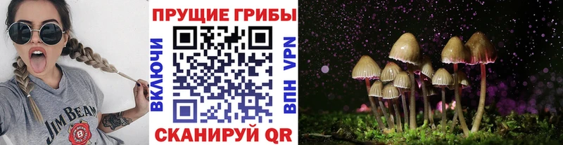 хочу   Армавир  Псилоцибиновые грибы Magic Shrooms 